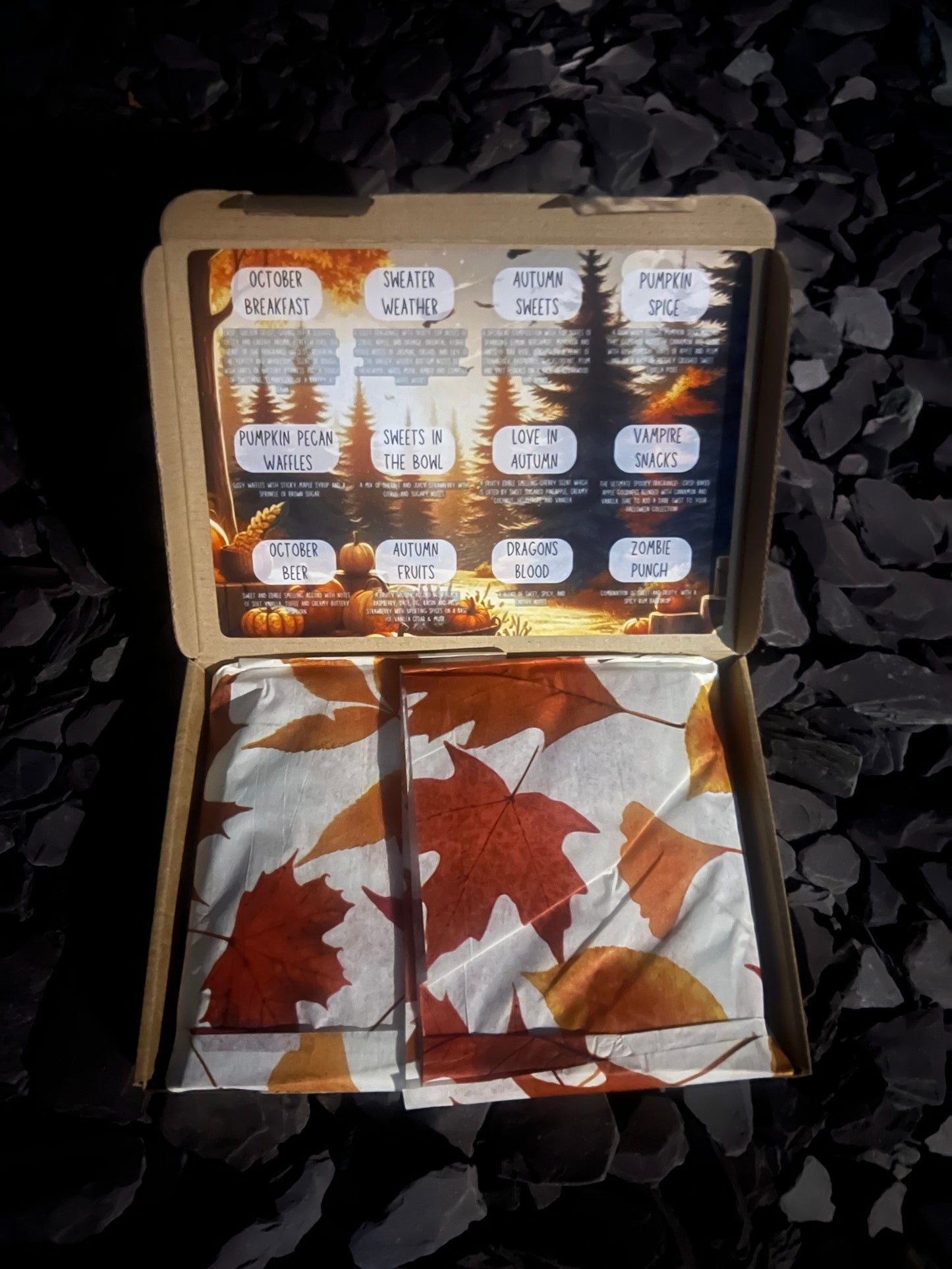 The Autumn WaxMelt Collection