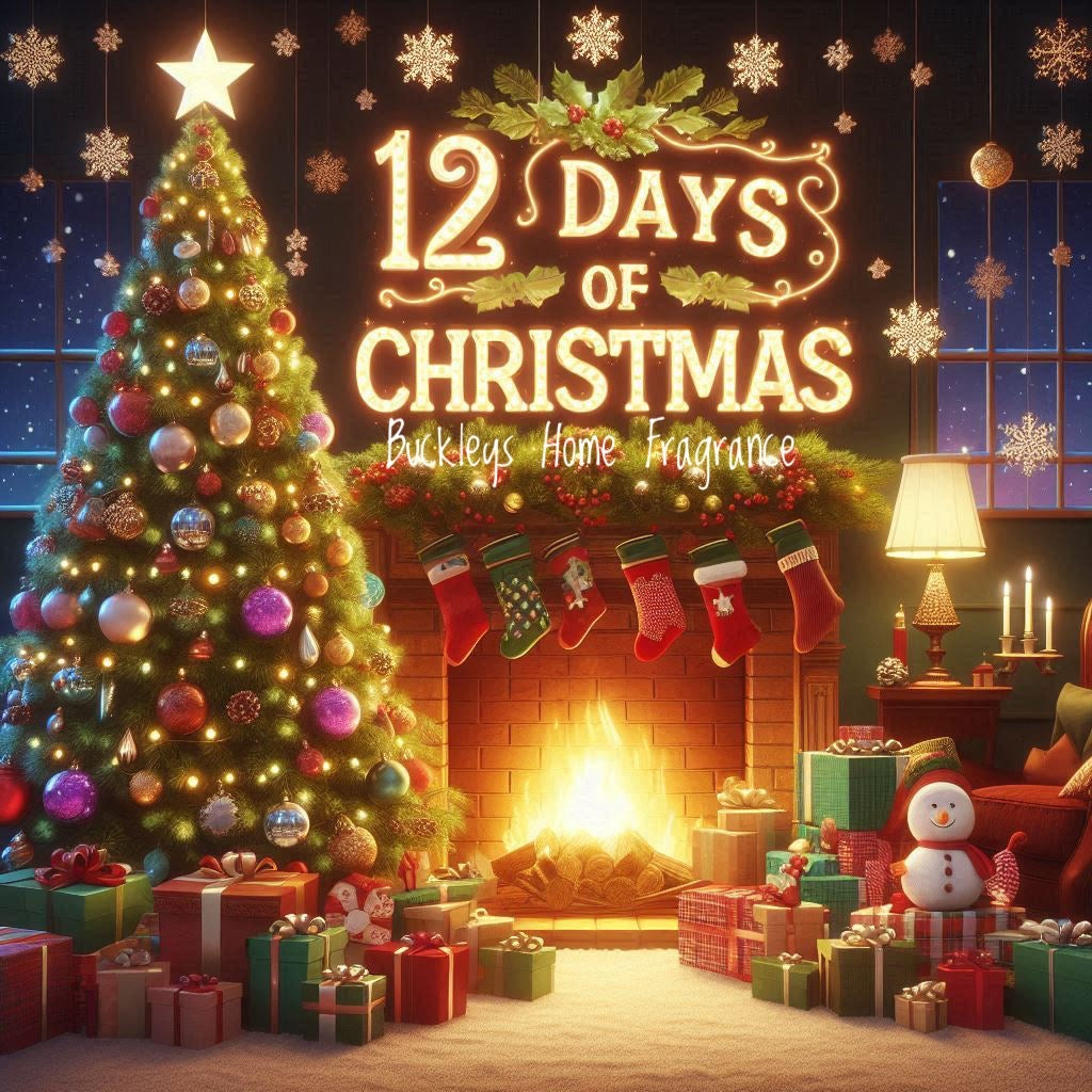 12 DAYS OF CHRISTMAS - NEW DEAL EVERYDAY